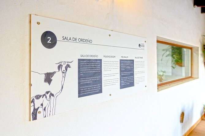 cheese-making-workshop-in-fuerteventura-with-breakfast