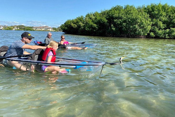 clear-kayak-tour-of-shell-key-preserve-and-tampa-bay-area