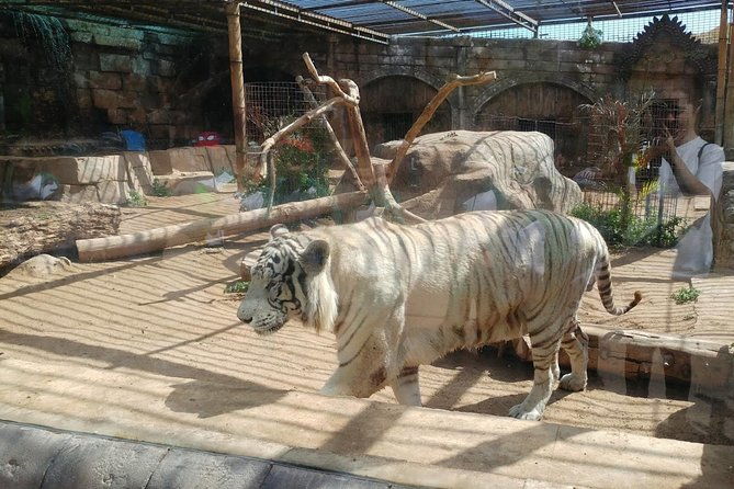 cocodrilo-park-zoo-admission-ticket-in-aguimes