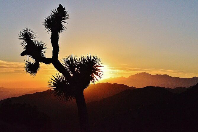 creativesoul-scavengerhunthidden-valleyjoshua-treeremote-host
