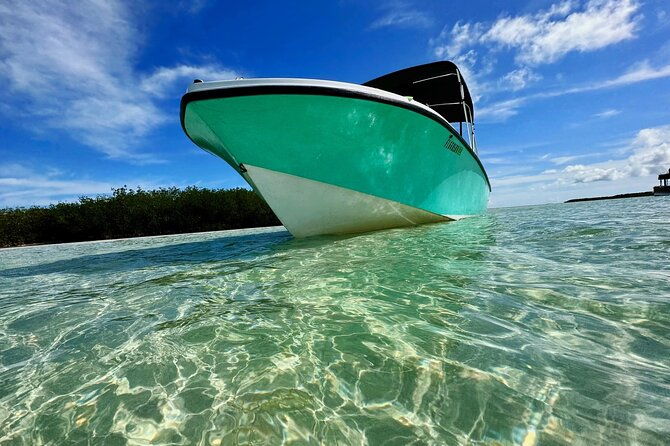 custom-charters-with-a-local-captain