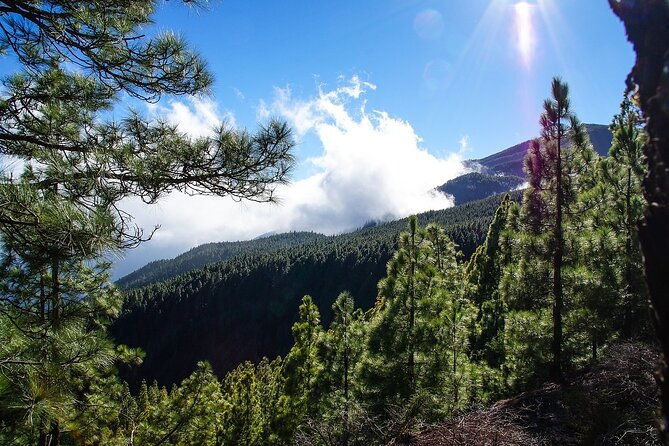 custom-private-full-day-tour-into-the-heart-of-tenerife
