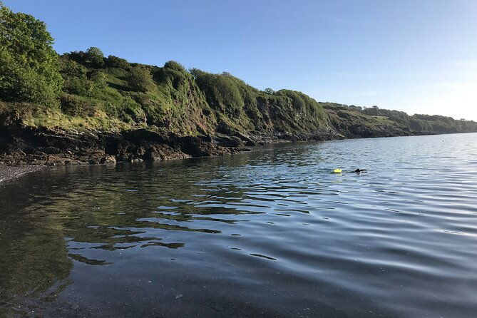 dawn-pilgrimage-and-swim-in-west-cork