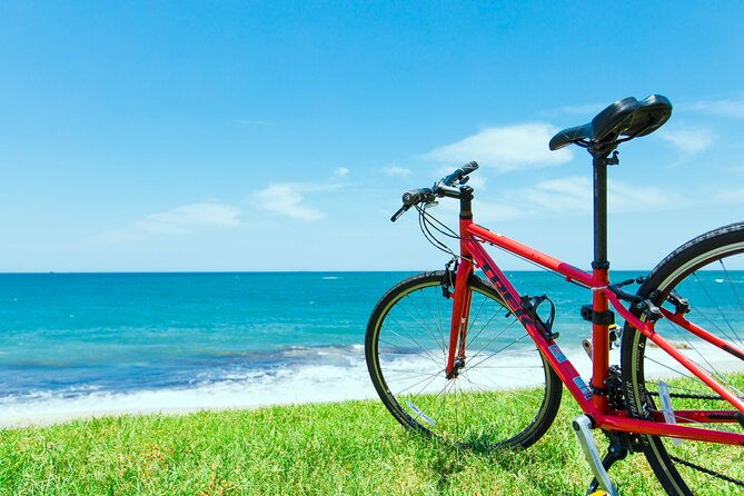 day-trip-from-central-fukuoka-rental-cycle-in-shikanoshima-island