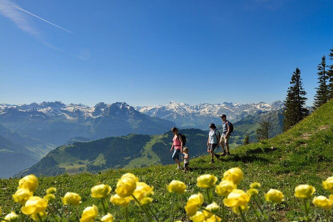 day-trip-to-lucerne-and-mount-stanserhorn-including-cabrio-cable-car-ride