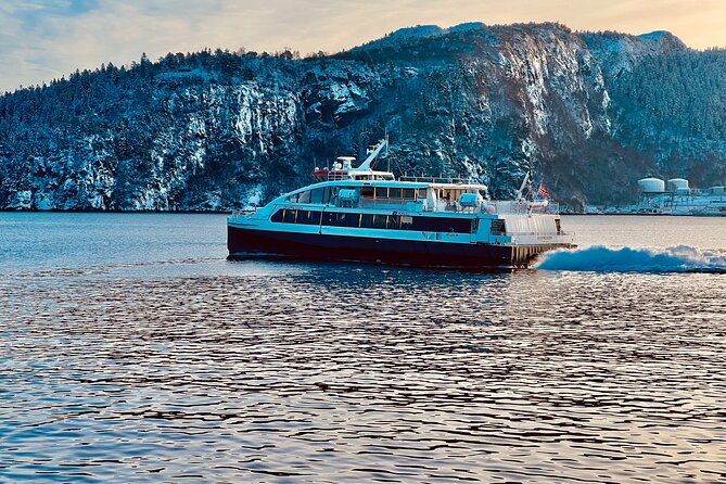 discover-bergen-on-foot-and-boat