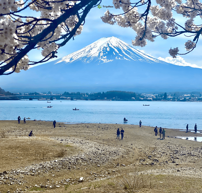 discover-mount-fuji-private-car-van-day-tour-from-tokyo