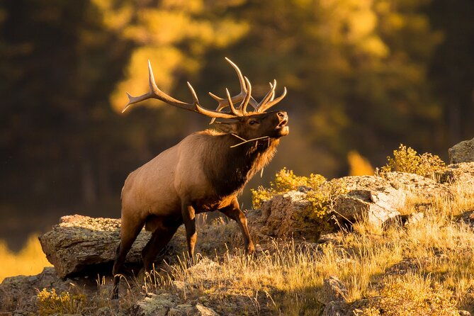 discover-rocky-mountain-national-park