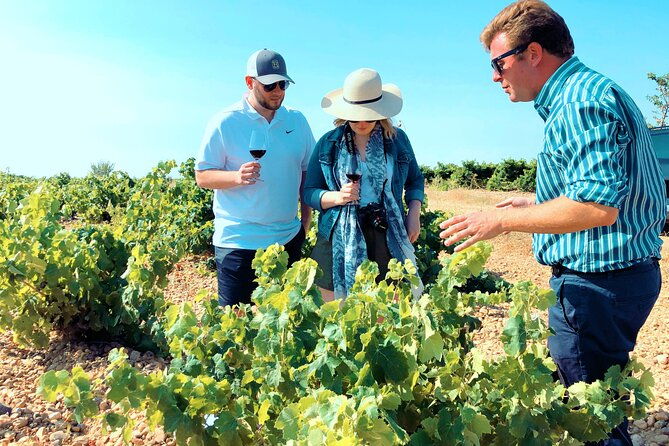 discover-the-authentic-wine-culture-of-rueda