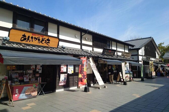 discover-the-wonders-of-kumamoto-tour-ramen-lunch-included