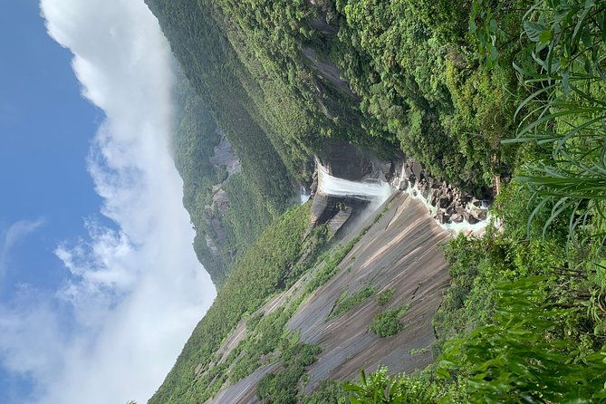 discovery-of-yakushima