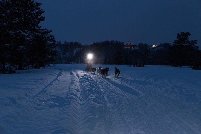 dog-sled-tour-and-husky-cuddles