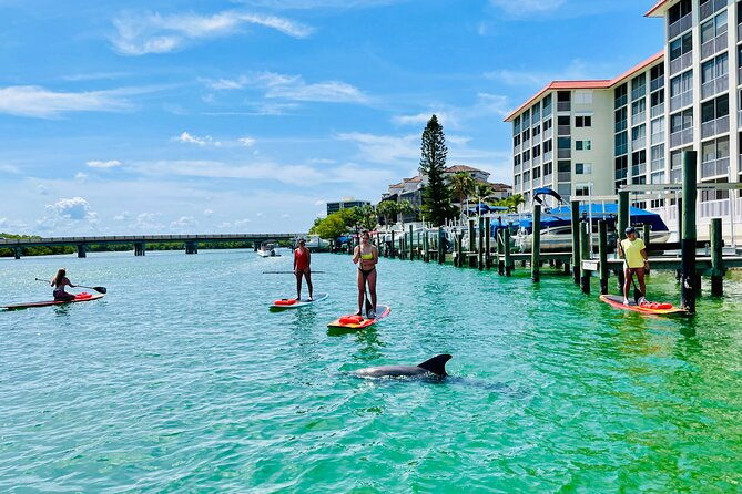 dolphin-and-manatee-adventure-tour-of-fort-myers