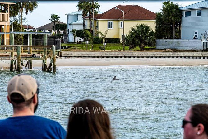 dolphin-and-wildlife-adventure-of-st-augustine