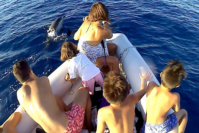dolphin-watching-conservation-dolphins-in-the-gulf-of-catania