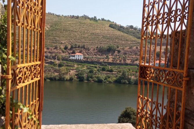 douro-luxury-walking-tour-with-full-lunch-at-quinta-da-pacheca