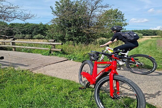 e-biking-northern-forgotten-giants-s-adventure
