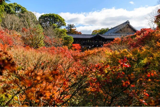 early-bird-e-biking-through-east-kyoto