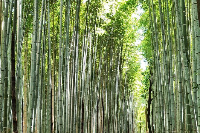 early-half-day-to-kyoto-highlights
