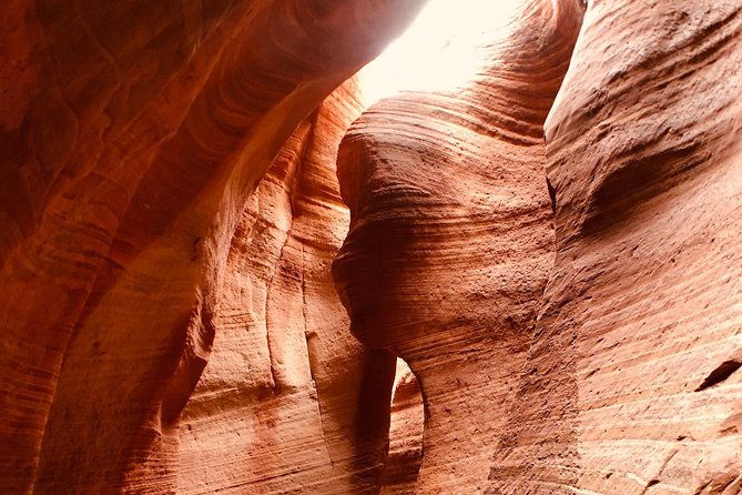 east-zion-4-hour-slot-canyon-canyoneering-utv-tour