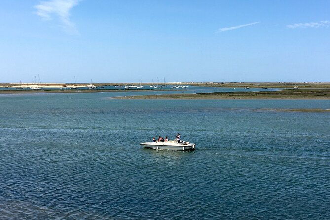 eco-boat-tour-in-the-ria-formosa-lagoon-from-faro