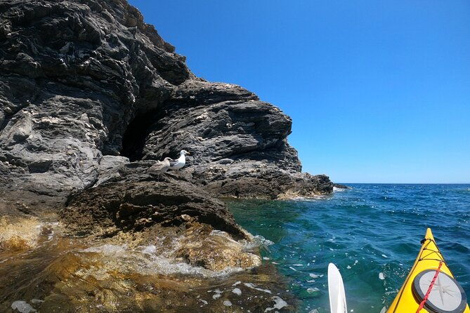 enchanting-semi-private-kayaking-tours-in-milos