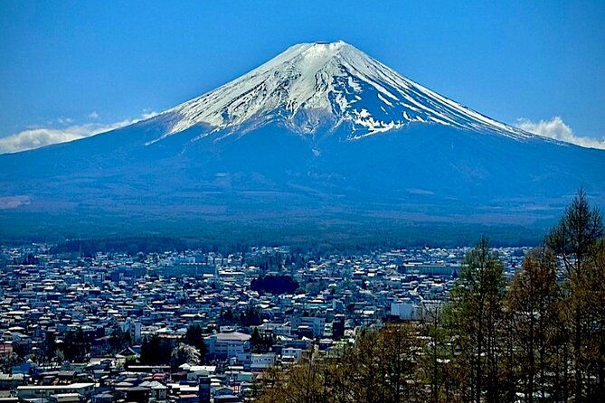 english-guided-mt-fuji-and-lake-kawaguchi-group-tour