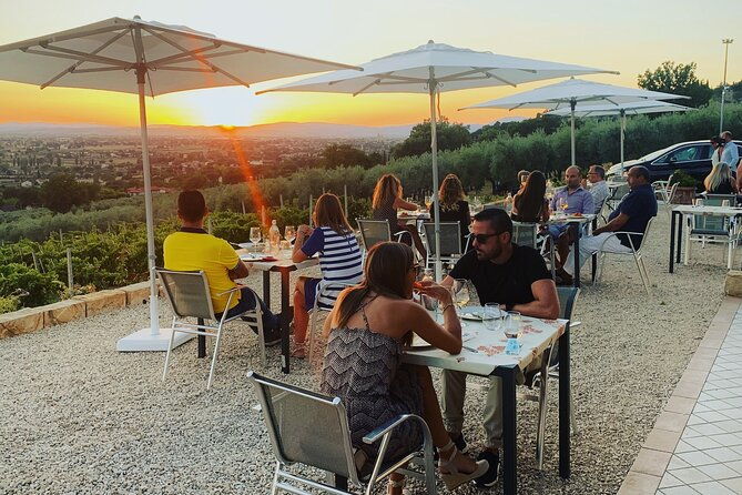 enjoy-and-taste-the-flavors-of-wine-in-an-open-air-venue
