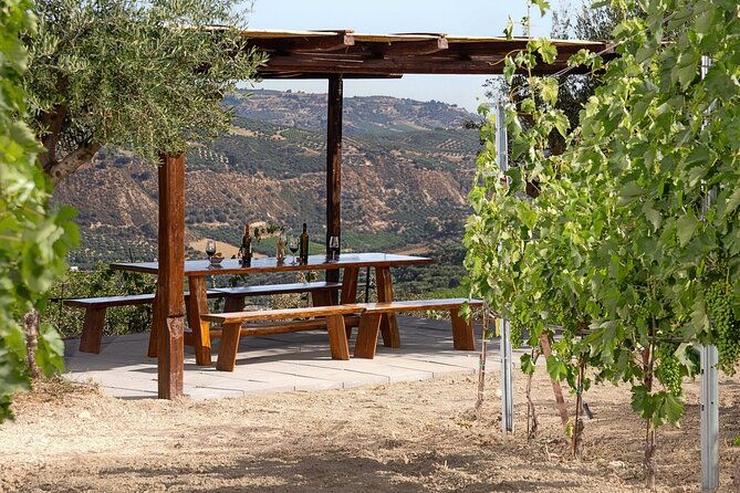 euphoria-vineyard-tour-wine-tasting