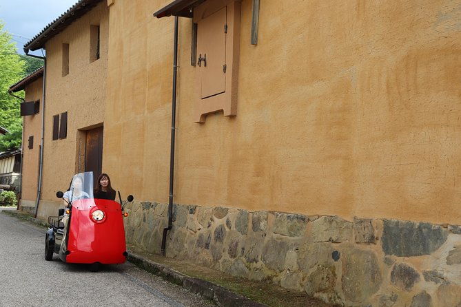 ev-car-rental-basket-group-local-tour-guide