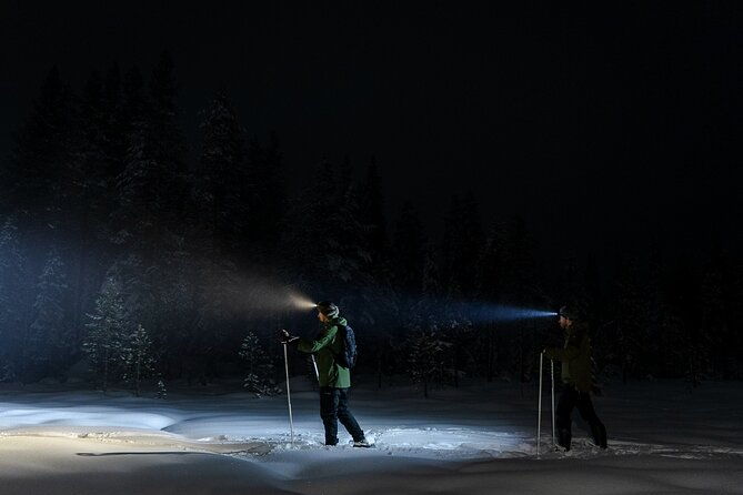 evening-ski-trek-to-the-wilderness-extra-small-group