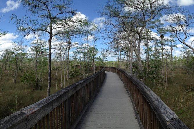 everglades-day-safari-from-ft-lauderdale