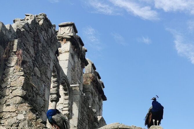 evora-private-walking-tour-by-local-guide
