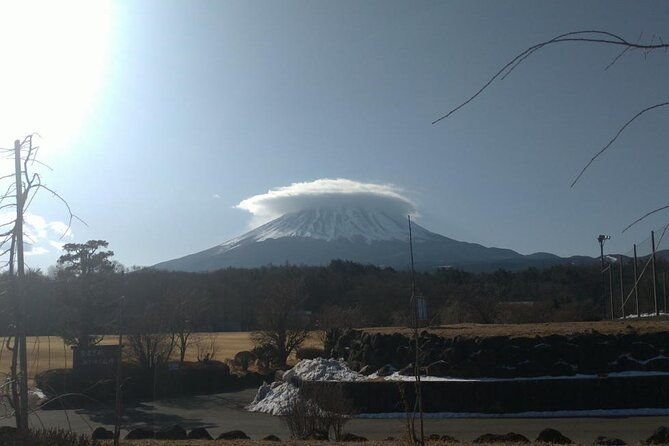 exploring-mt-fuji-ice-cave-and-sea-of-trees-forest
