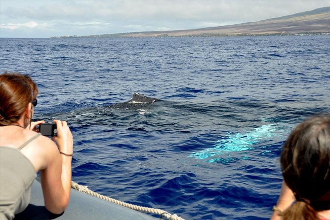 eye-level-whale-watching-eco-raft-tour-from-lahaina