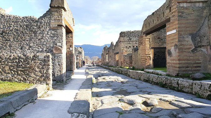 fast-access-exclusive-private-ancient-pompeii-half-day-tour-with-local-guide