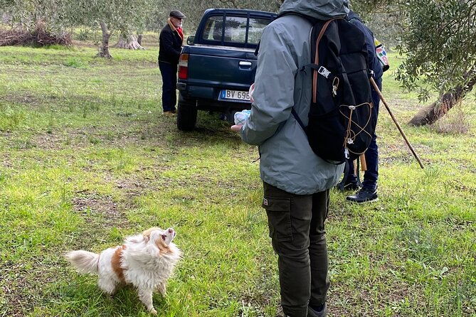 food-and-wine-tour-between-the-patriarchs-olives-and-the-oil-temples