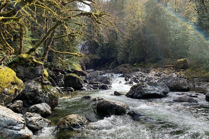 forest-hike-to-gorgeous-twin-and-snoqualmie-falls