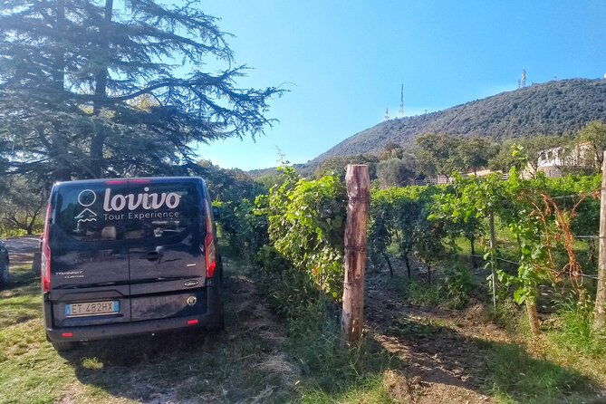 from-padua-wine-tour-in-the-euganean-hills