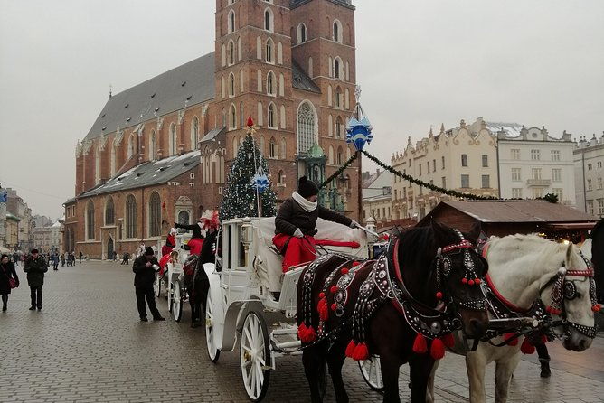 from-warsaw-auschwitz-and-krakow-one-day-tour-by-train-with-pick-up-and-drop-off
