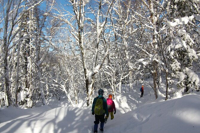 frozen-fall-trekking