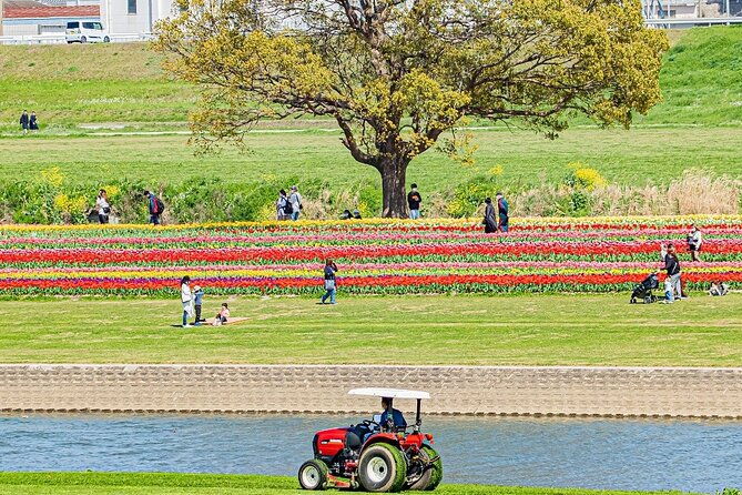fukuoka-cherry-blossom-and-tulip-tour-with-boat-ride-yokabus