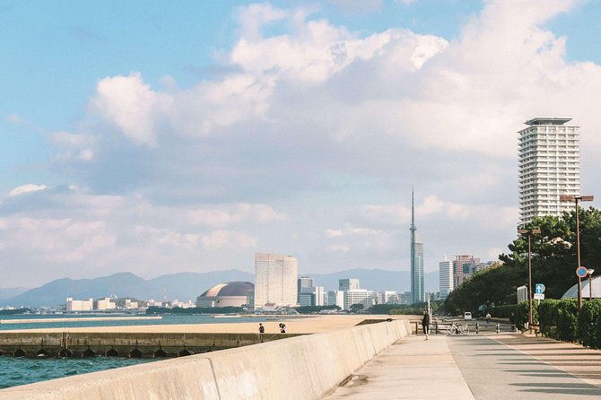 fukuoka-private-customizable-half-day-tour