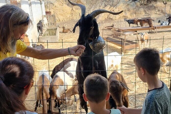 full-day-4x4-self-drive-safari-tour-in-crete-with-bbq-lunch