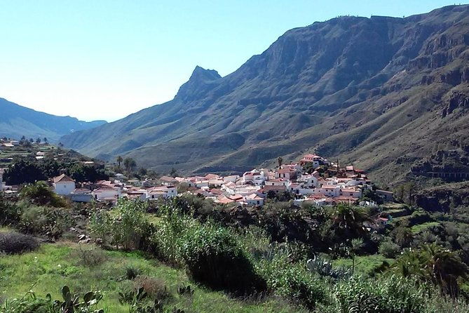 full-day-across-the-island-tour-from-las-palmas