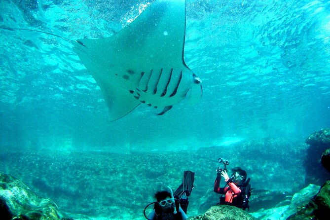 full-day-guided-boat-2diving-in-kerama-islands%ef%bc%88license-required%ef%bc%89