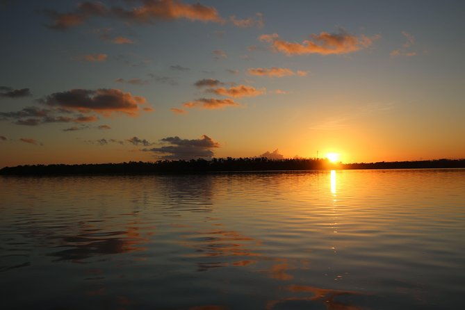full-day-kayak-adventure-in-the-everglades