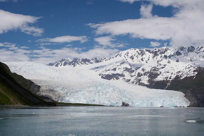 full-day-kenai-fjords-national-park-cruise