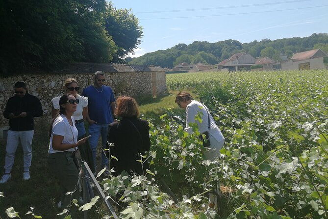 full-day-private-champagne-tasting-in-reims-and-its-vineyards