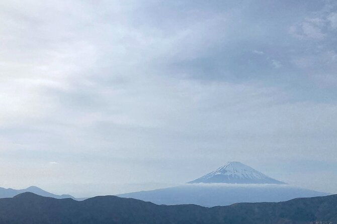 full-day-private-tour-to-mt-fuji-by-luxury-vehicle